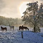 Cowboy's Land * Visnja Gora