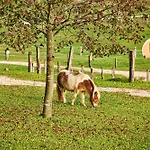 Camping Cowboy's Land Visnja Gora