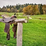 Camping Cowboy's Land *