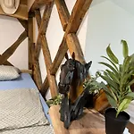 Camping Cowboy's Land *
