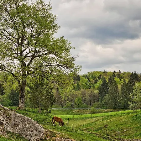 Kamp Cowboy's Land Visnja Gora