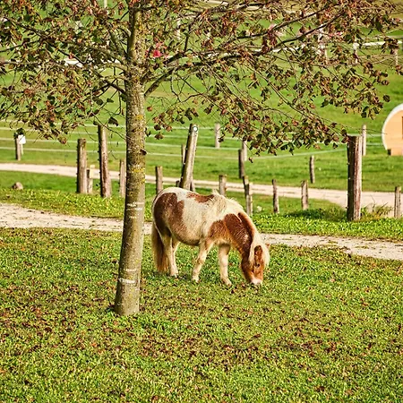 营地 Cowboy's Land Visnja Gora