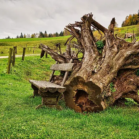 Cowboy's Land * Visnja Gora