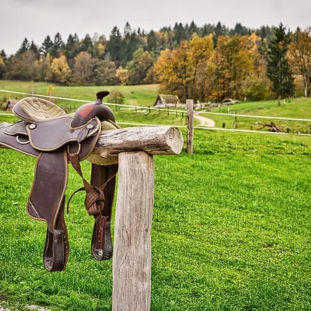 Campsite Cowboy's Land *