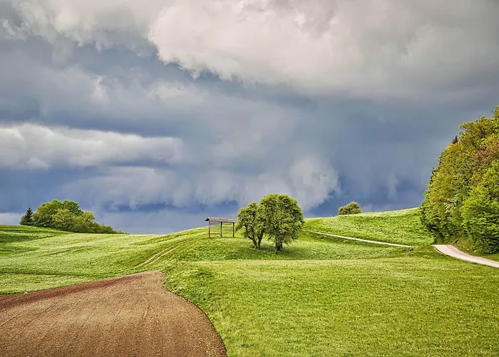 Cowboy's Land Kemping Visnja Gora