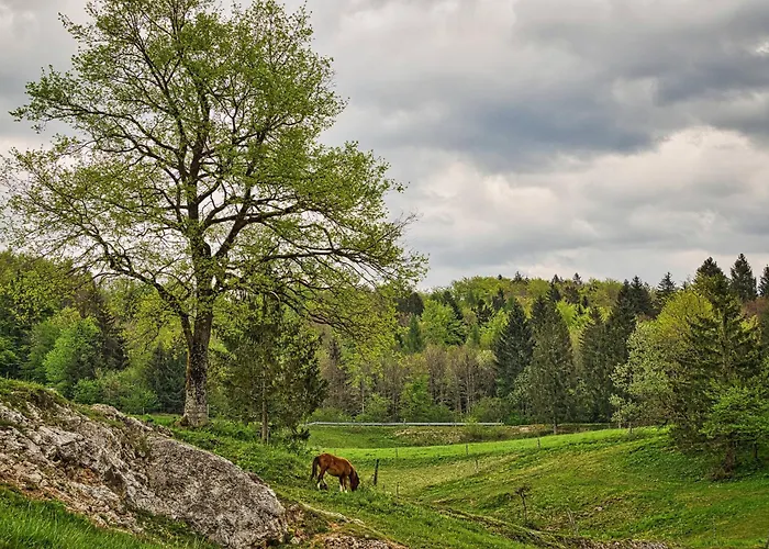 キャンプ場 Cowboy's Land Višnja Gora