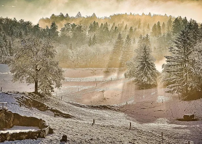 Cowboy's Land Visnja Gora