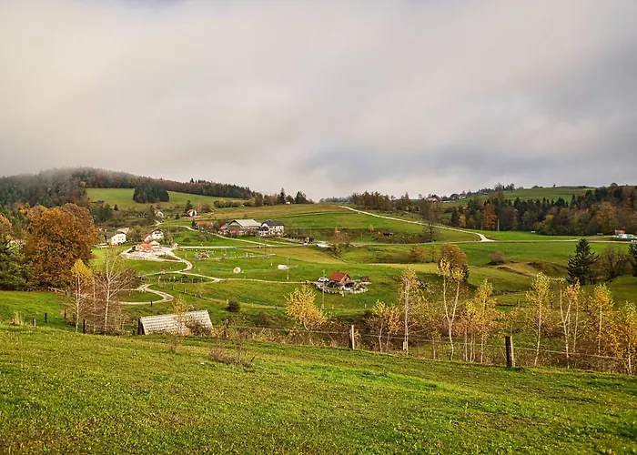 Cowboy's Land キャンプ場