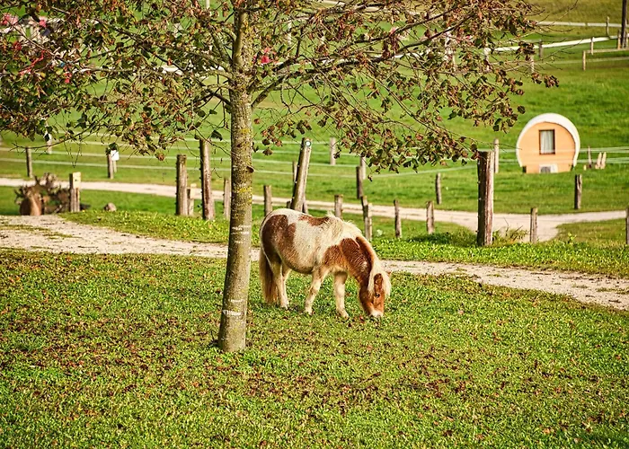 キャンプ場 Cowboy's Land Višnja Gora