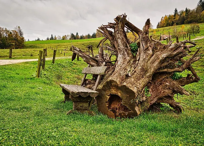 Cowboy's Land * Visnja Gora