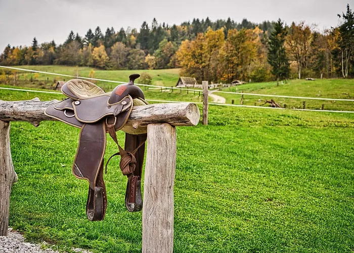 Kemping Cowboy's Land *