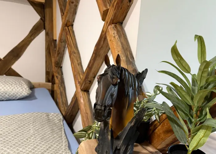 キャンプ場 Cowboy's Land *